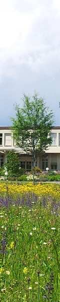 RPB Regionales Pflegezentrum Baden AG