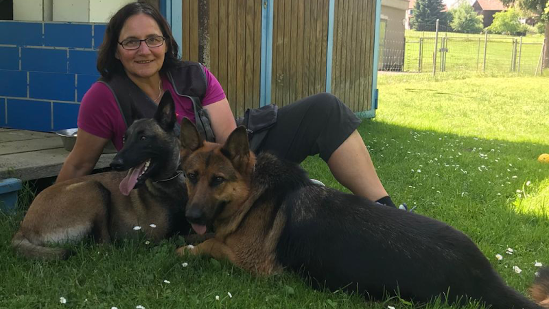 WALKINGDOGS DOG SCHOOL & dogcare Zürich Einrichtung