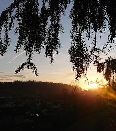 Altersheim Drei Tannen Foto 3