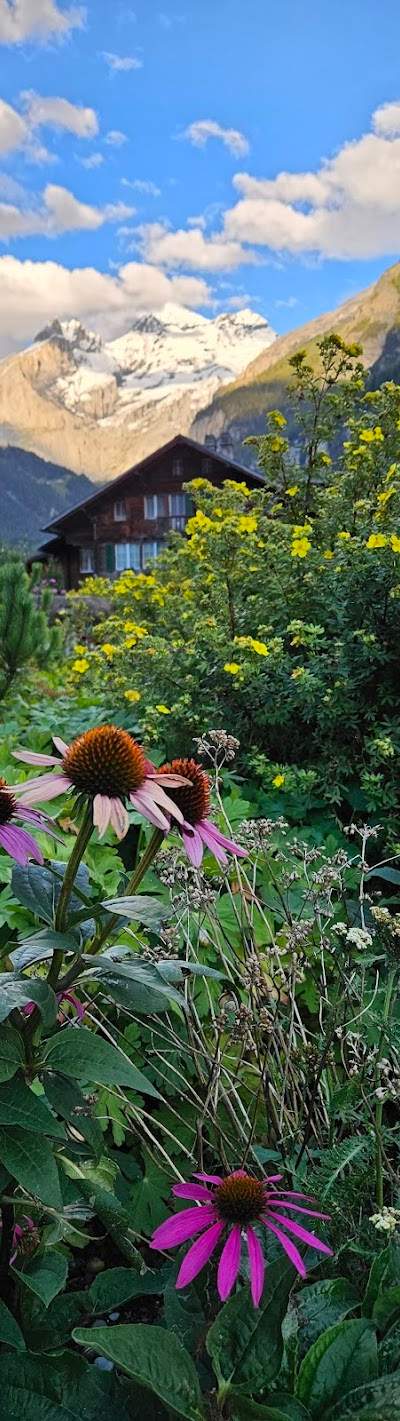 Alt sein können - Schweizerhof Kandersteg (Seniorenzentrum Schweizerhof AG) Foto 4