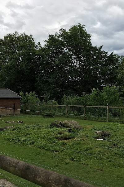 Stiftung Alterssiedlung Sunneziel Meggen Foto 2