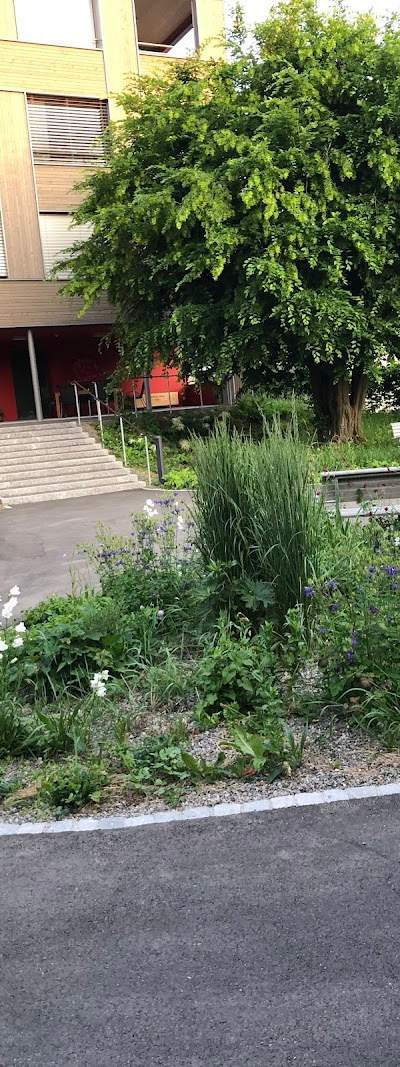Alters- Pflegeheim Im Brühl Foto 2