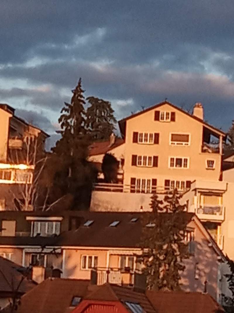 Tagesbetreuung immomänt Foto 1