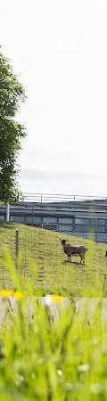 Heime Uster Pflegezentrum Dietenrain