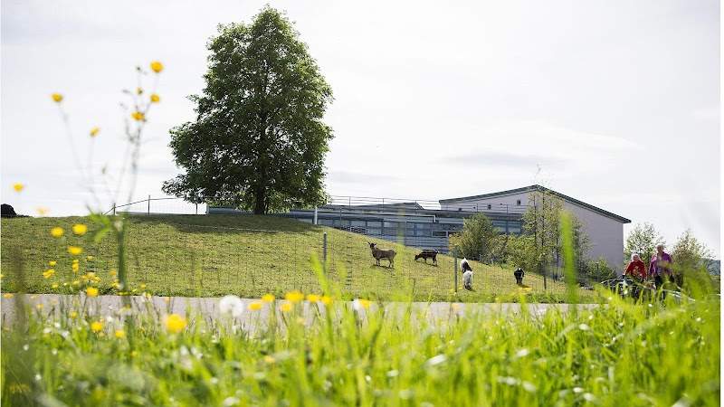 Heime Uster Pflegezentrum Dietenrain Foto 1