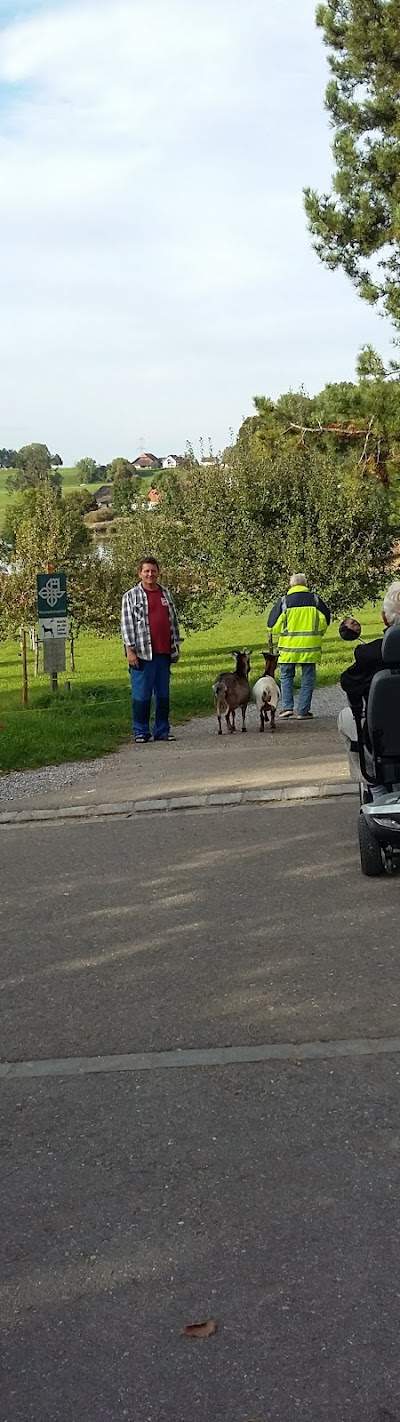 Privates Alters- und Pflegeheim Refugium Foto 5