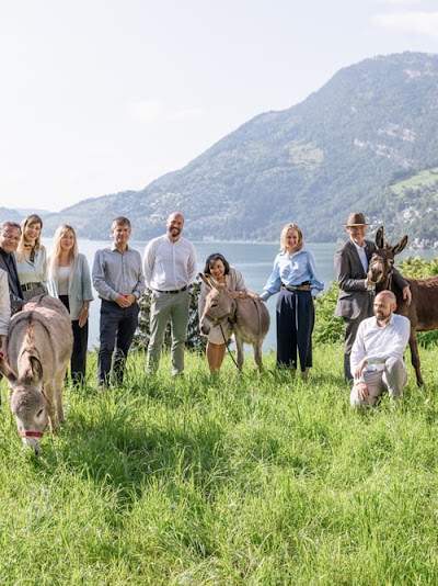 NEOVIVA | Private Addiction Treatment in Switzerland Foto 5