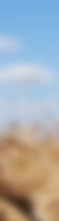 Spitex privaCare