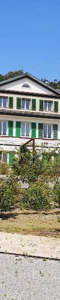Effingerhort