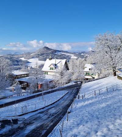 Effingerhort Foto 2
