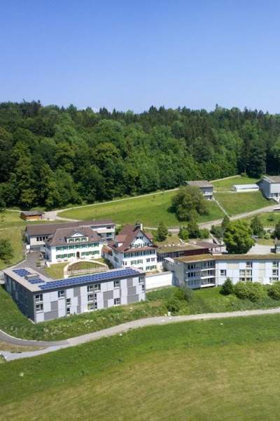 Effingerhort Foto 3