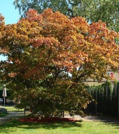 Domicil Kompetenzzentrum Demenz Serena Foto 5