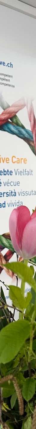 palliative.ch