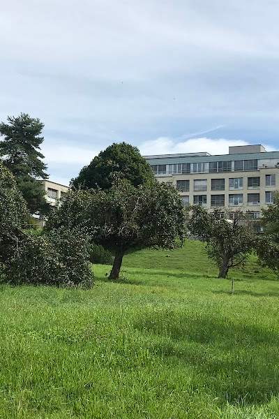 Pflegewohnheim Bärgmättli AG Foto 3