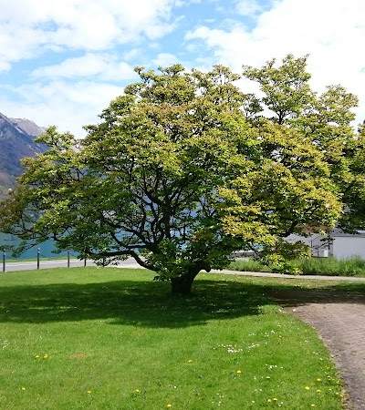 Schloessli Pflegeheim am See Foto 3
