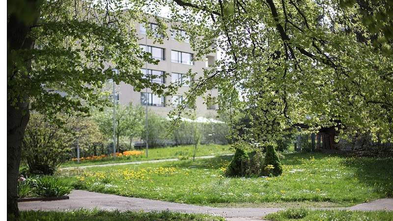 Heime Uster Pflegezentrum Im Grund Foto 1