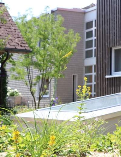 Dändlikerhaus AG Foto 5