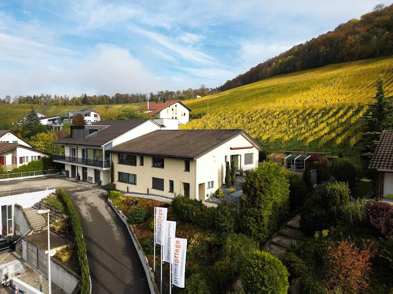 Prima Pflege GmbH | Altersheim in Tegerfelden Foto 1