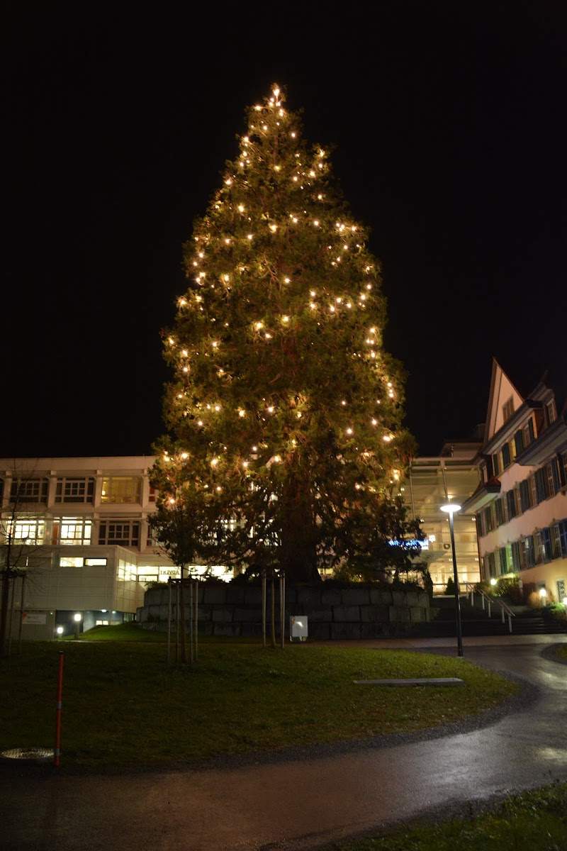Pflegezentrum Ennetsee AG Foto 1