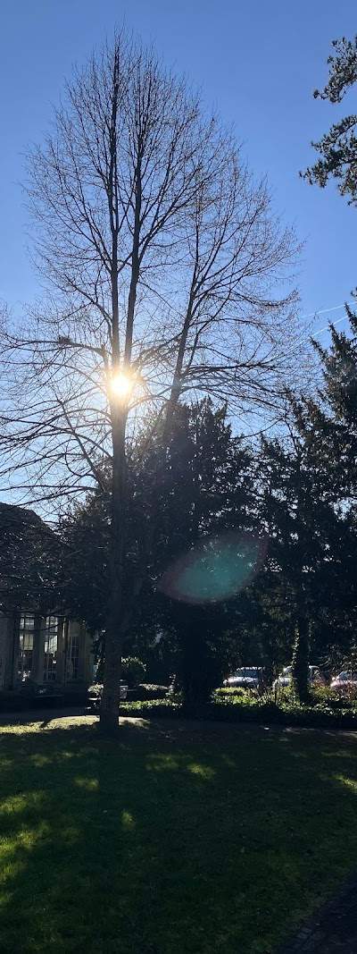 Haus im Park - Pflege und Betreuung Foto 5